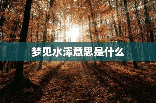 梦见水浑意思是什么(梦到水浑是什么意思)